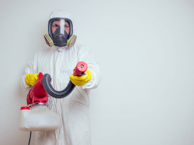 About Raccoon Removal Alexandria - raccoon removal experts in Alexandria