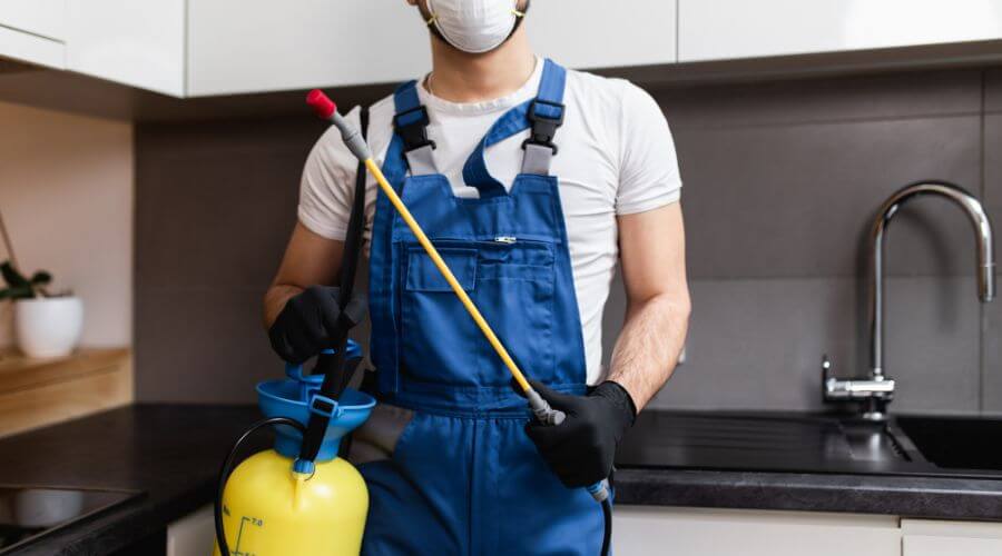 Why choose Raccoon Removal Alexandria for raccoon removal in Alexandria